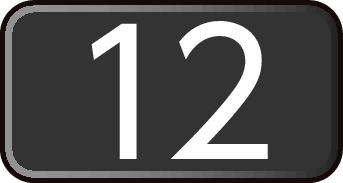 B 12